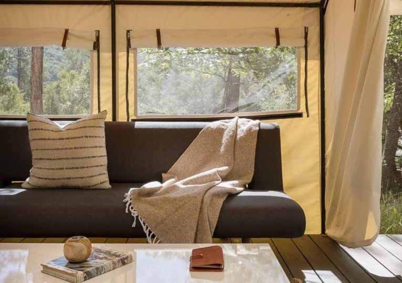 Autocamp Catskills Saugerties Bagian luar foto